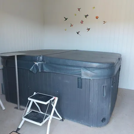 Alpesi faház Tipi D'anais